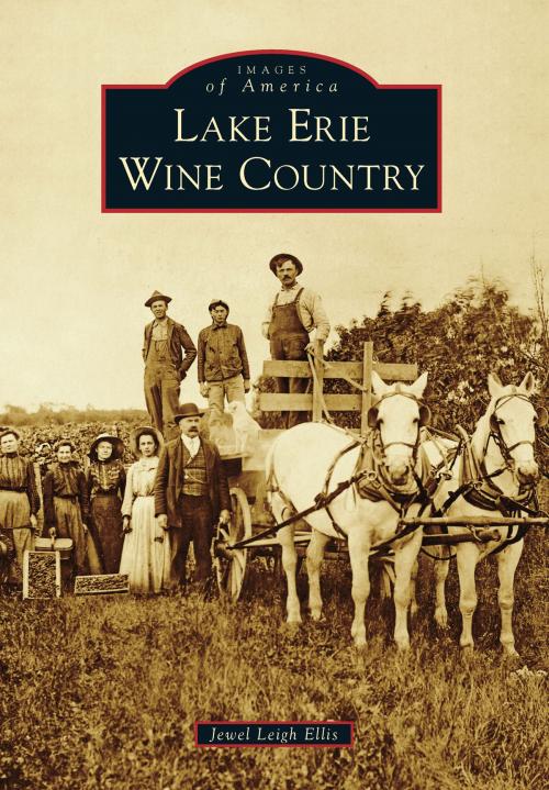 Cover of the book Lake Erie Wine Country by Jewel Leigh Ellis, Arcadia Publishing Inc.