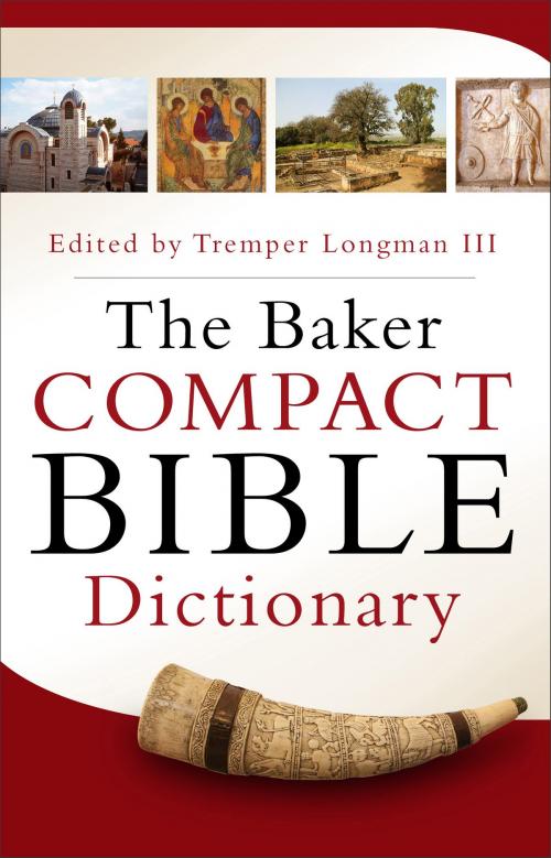 Cover of the book The Baker Compact Bible Dictionary by , Baker Publishing Group