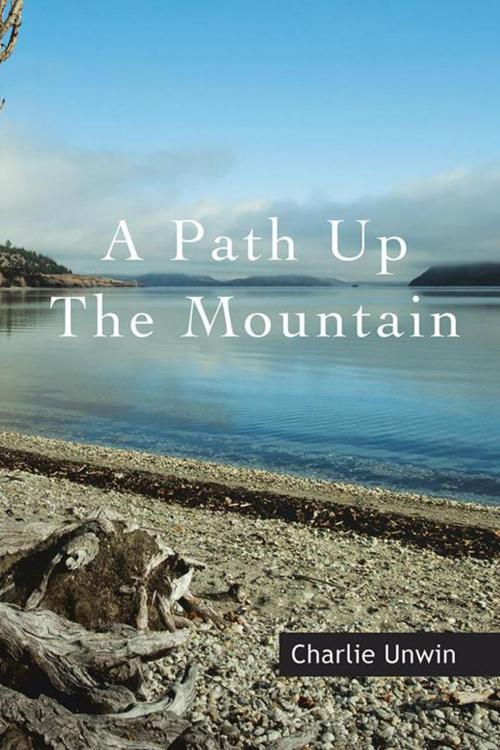 Cover of the book A Path up the Mountain by Charlie Unwin, Balboa Press AU