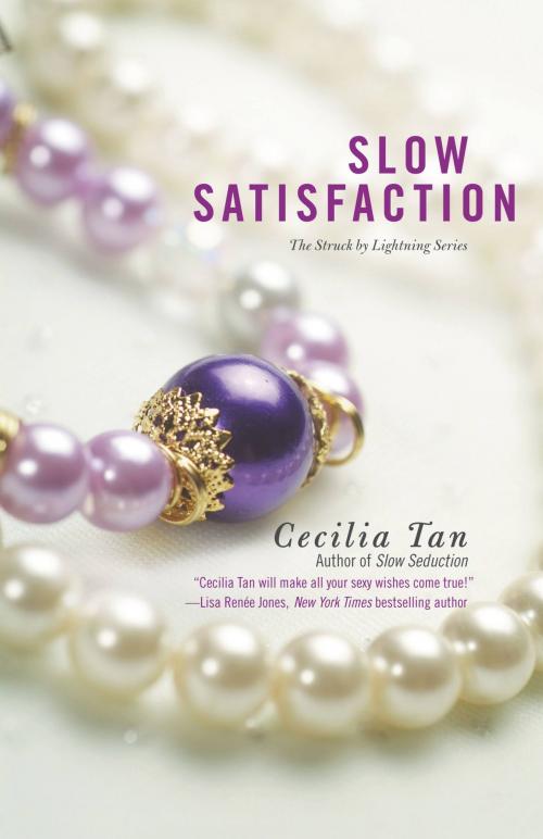 Cover of the book Slow Satisfaction by Cecilia Tan, Grand Central Publishing