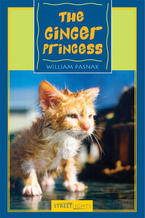 Cover of the book The Ginger Princess by William Pasnak, James Lorimer & Company Ltd., Publishers
