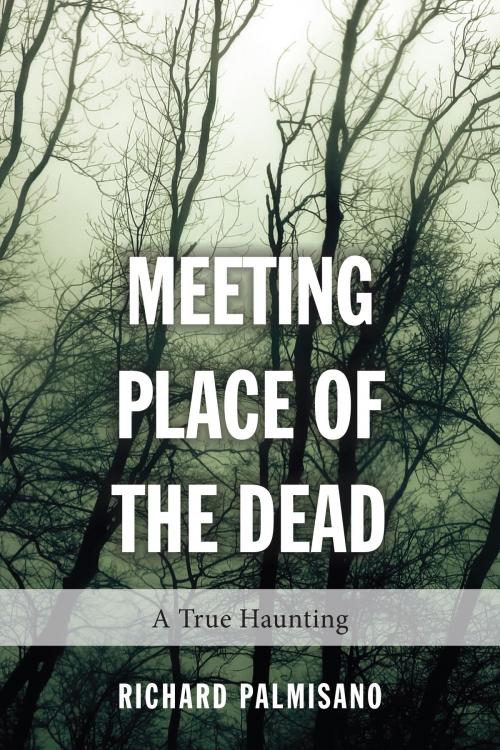 Cover of the book Meeting Place of the Dead by Richard Palmisano, Dundurn