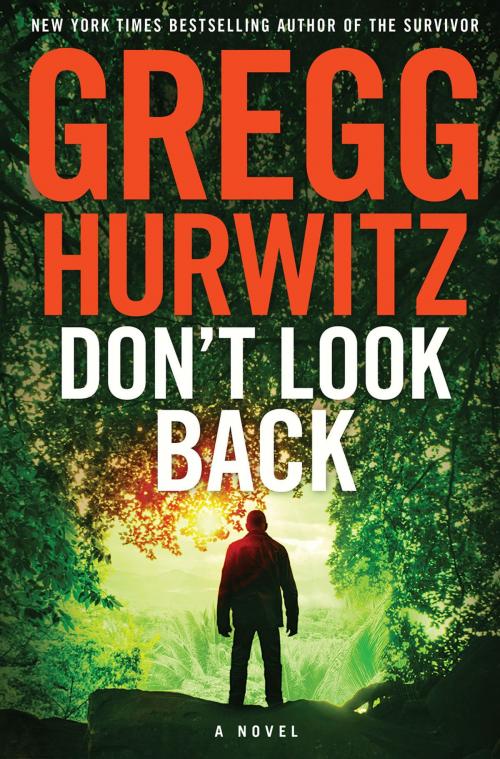 Cover of the book Don't Look Back by Gregg Hurwitz, St. Martin's Publishing Group