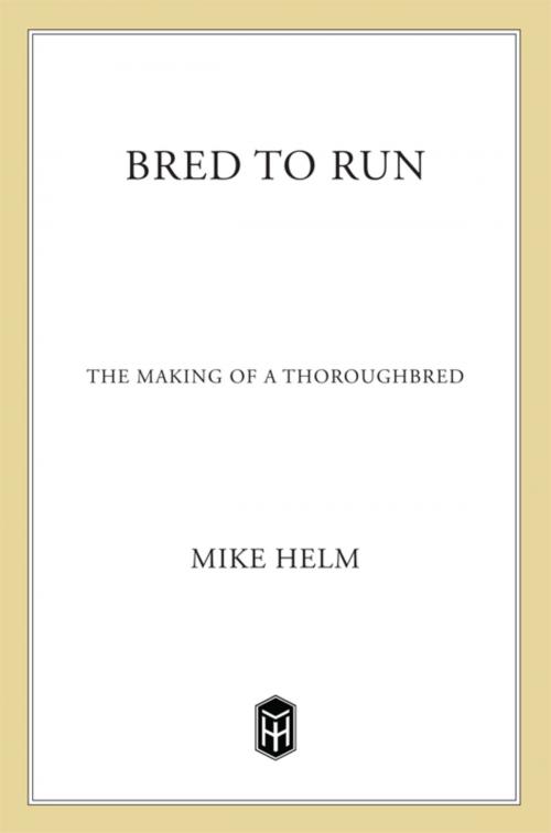 Cover of the book Bred To Run by Mike Helm, Henry Holt and Co.