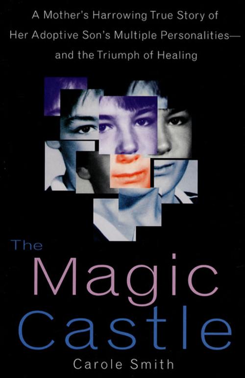 Cover of the book The Magic Castle by Carole Smith, Steven J. Kingsbury, St. Martin's Press