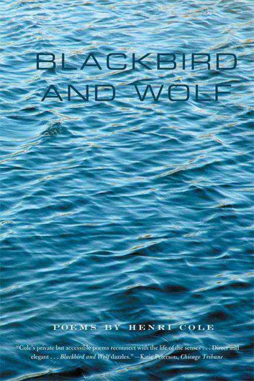 Cover of the book Blackbird and Wolf by Henri Cole, Farrar, Straus and Giroux