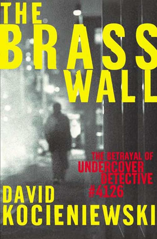 Cover of the book The Brass Wall by David Kocieniewski, Henry Holt and Co.