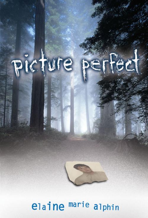 Cover of the book Picture Perfect by Elaine Marie Alphin, Lerner Publishing Group
