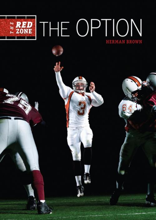 Cover of the book The Option by Herman Brown, Lerner Publishing Group