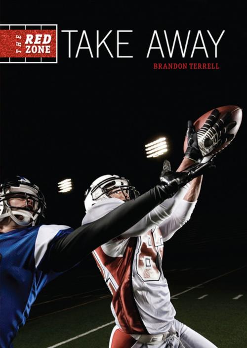 Cover of the book Take Away by Brandon Terrell, Lerner Publishing Group