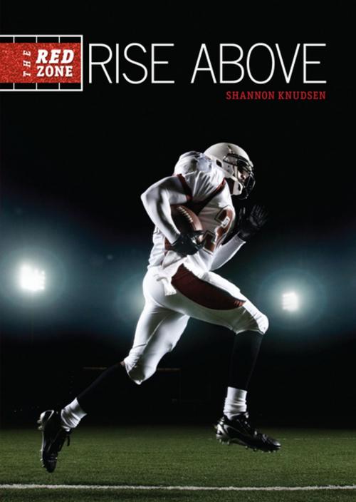 Cover of the book Rise Above by Shannon Knudsen, Lerner Publishing Group