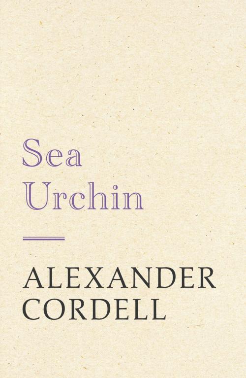 Cover of the book Sea Urchin by Alexander Cordell, Hodder & Stoughton