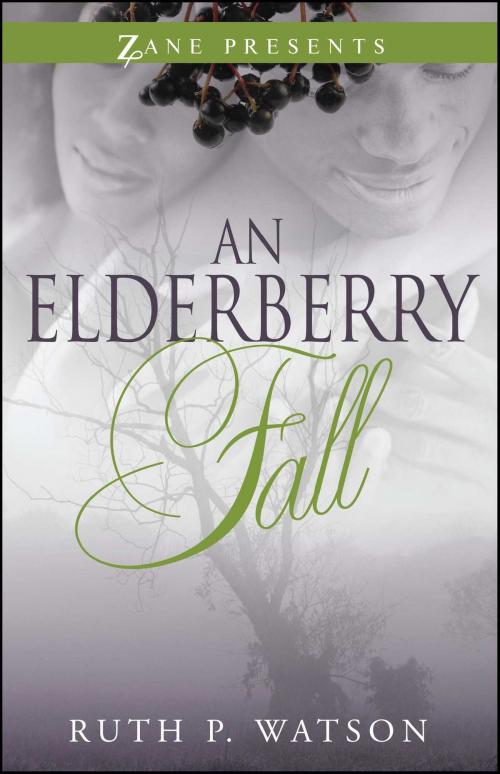 Cover of the book An Elderberry Fall by Ruth P. Watson, Strebor Books