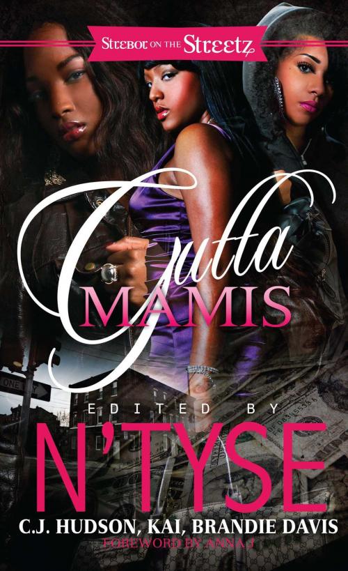 Cover of the book Gutta Mamis by N'Tyse, Strebor Books