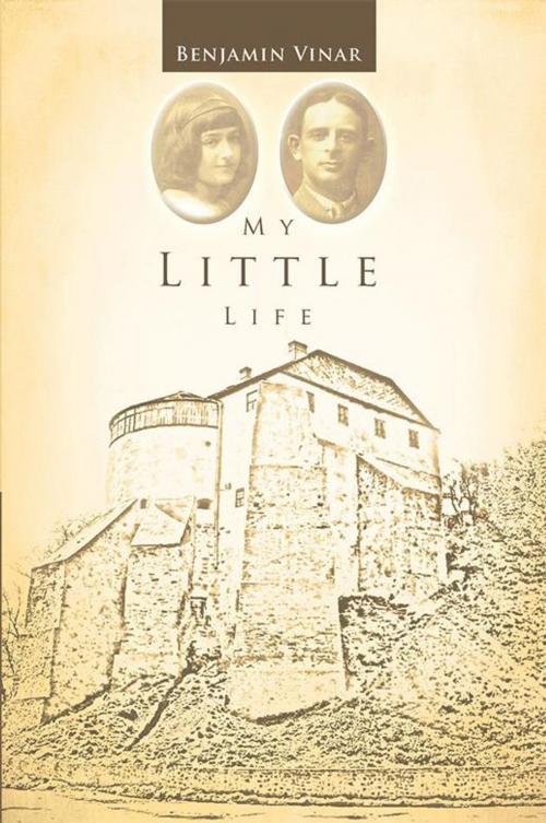 Cover of the book My Little Life by Benjamin Vinar, Archway Publishing