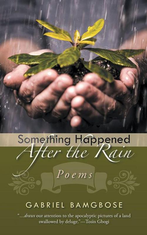 Cover of the book Something Happened After the Rain by Gabriel Bamgbose, Partridge Publishing Africa