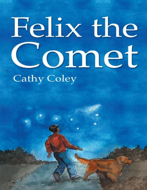 Cover of the book Felix the Comet by Cathy Coley, Lulu Publishing Services
