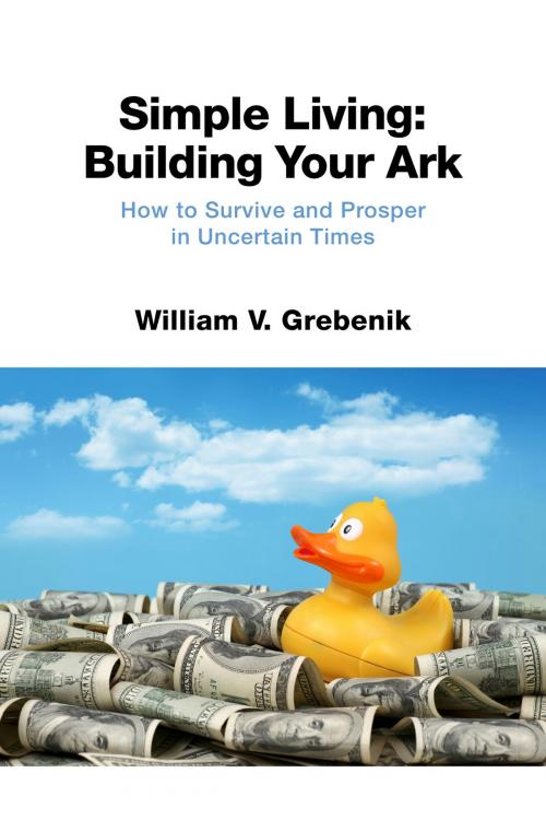 Cover of the book Simple Living: Building Your Ark by William V. Grebenik, BookBaby