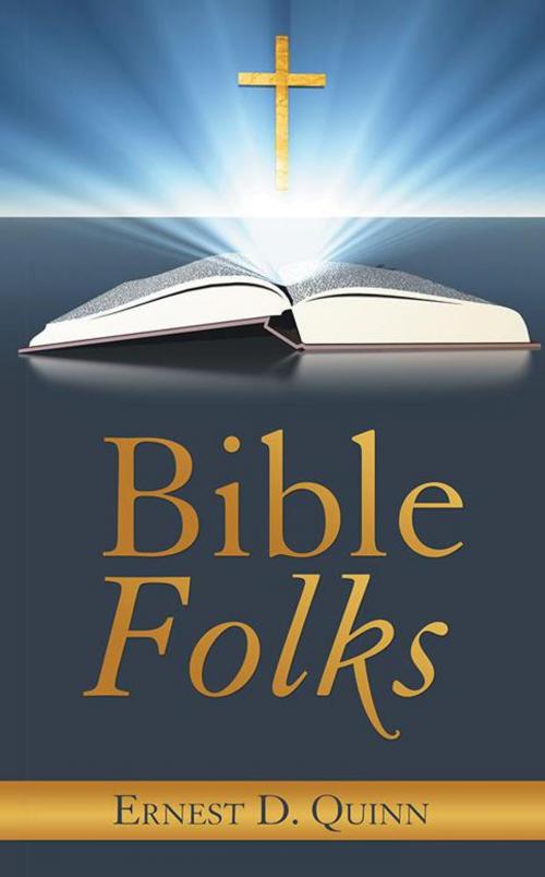 Cover of the book Bible Folks by Ernest D. Quinn, LifeRich Publishing