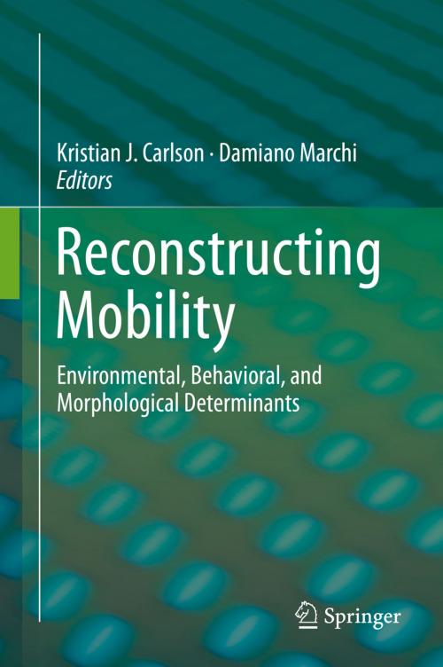 Cover of the book Reconstructing Mobility by , Springer US