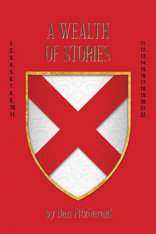 Cover of the book A Wealth of Stories by Dan FitzGerald, AuthorHouse