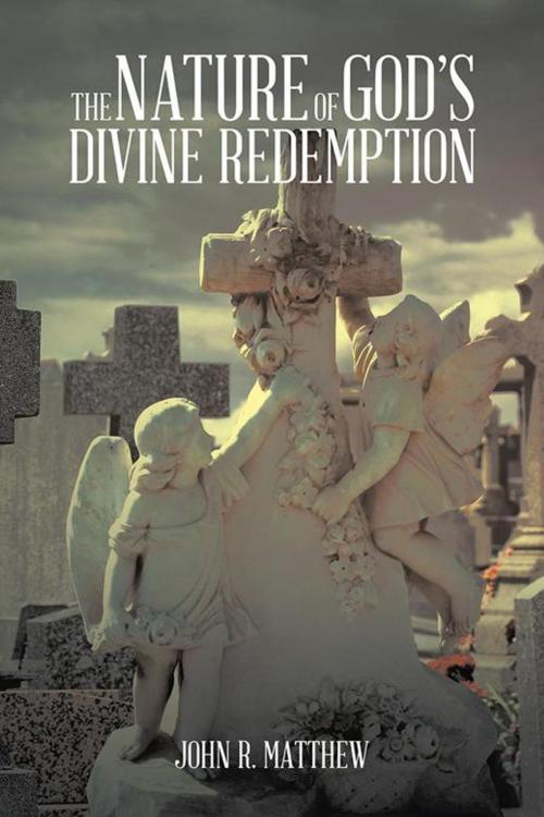Cover of the book The Nature of God’S Divine Redemption by John R. Matthew, AuthorHouse UK