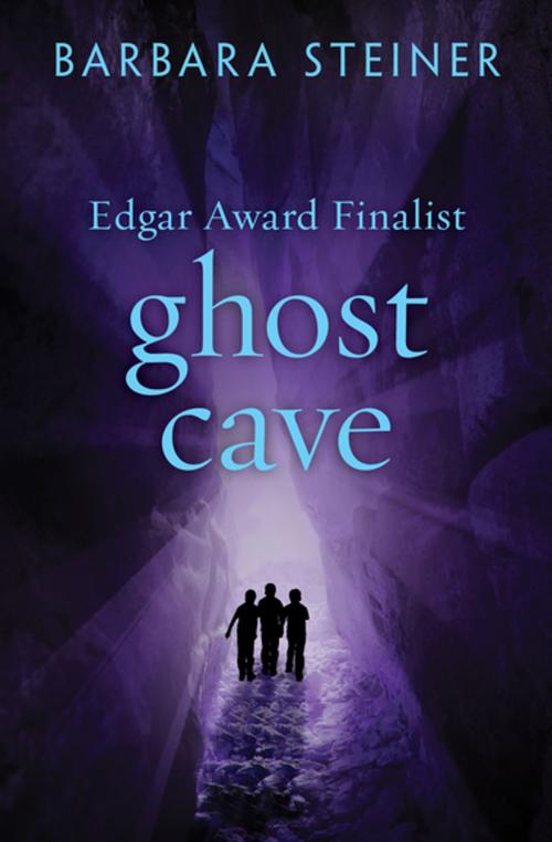 Cover of the book Ghost Cave by Barbara Steiner, Open Road Media