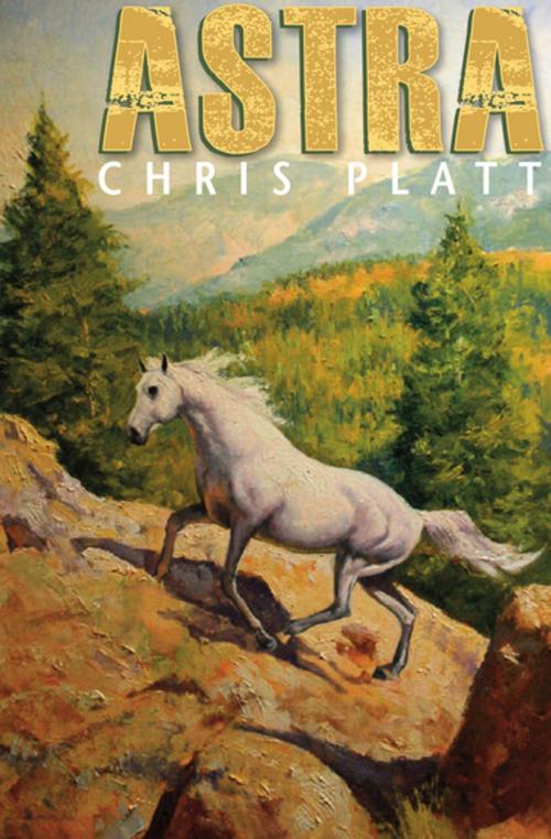 Cover of the book Astra by Chris Platt, Open Road Media