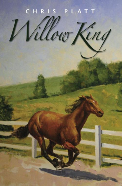 Cover of the book Willow King by Chris Platt, Open Road Media