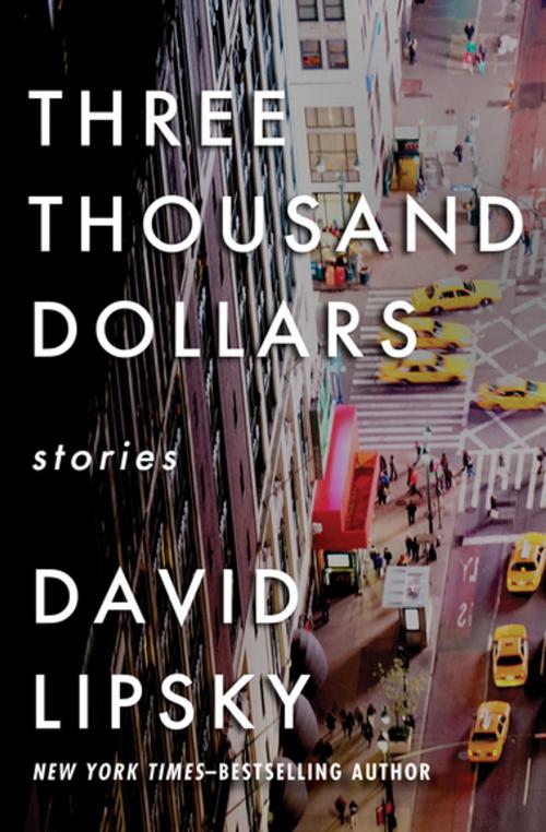 Cover of the book Three Thousand Dollars by David Lipsky, Open Road Media