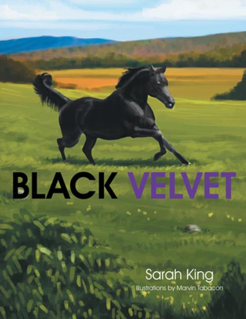 Cover of the book Black Velvet by Sarah King, Xlibris AU