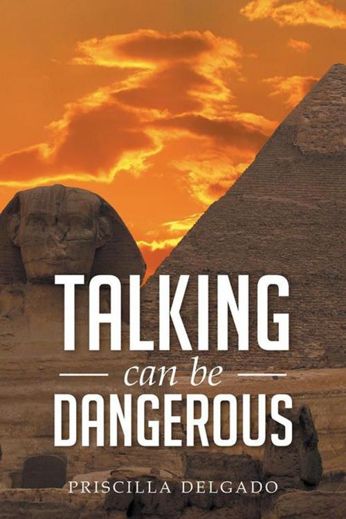 Cover of the book Talking Can Be Dangerous by Priscilla Delgado, Xlibris US