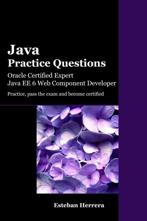 Cover of the book Java Practice Questions: Oracle Certified Expert, Java EE 6 Web Component Developer (OCEJWCD) by Esteban Herrera, Esteban Herrera