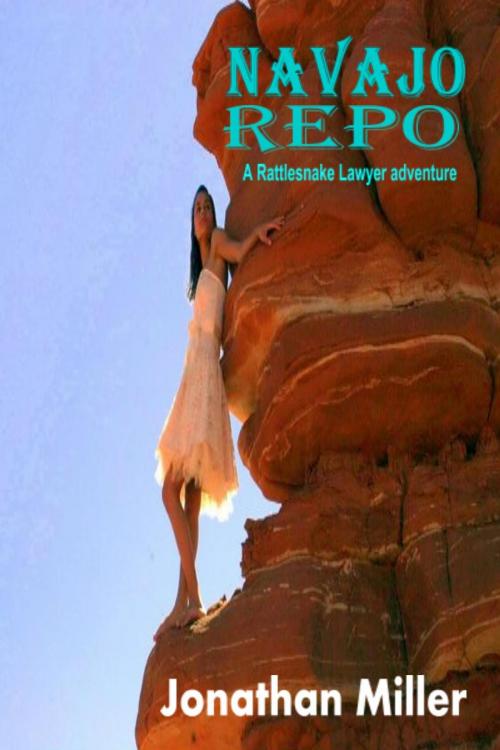Cover of the book Navajo Repo by Jonathan Miller, Nightstalker Press