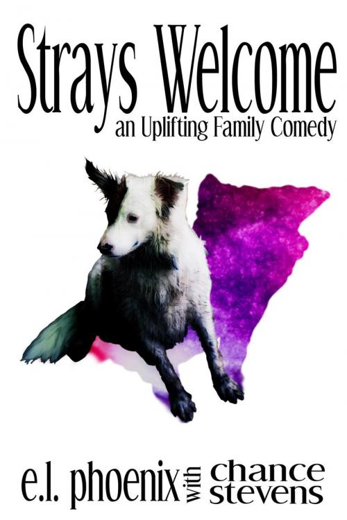 Cover of the book Strays Welcome by E.L. Phoenix, Chance Stevens, St. Mark's Publishing