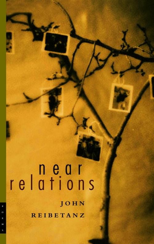 Cover of the book Near Relations by John Reibetanz, McClelland & Stewart