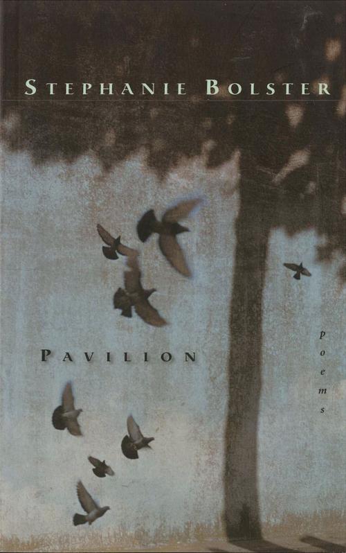 Cover of the book Pavilion by Stephanie Bolster, McClelland & Stewart