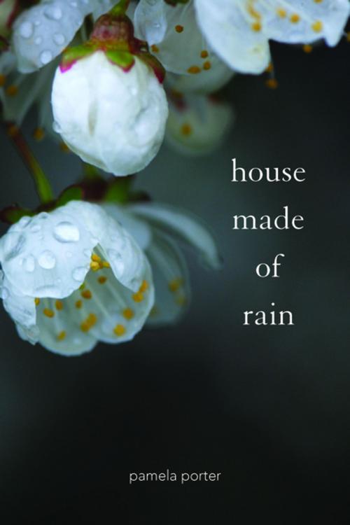Cover of the book House Made of Rain by Pamela Porter, Ronsdale Press