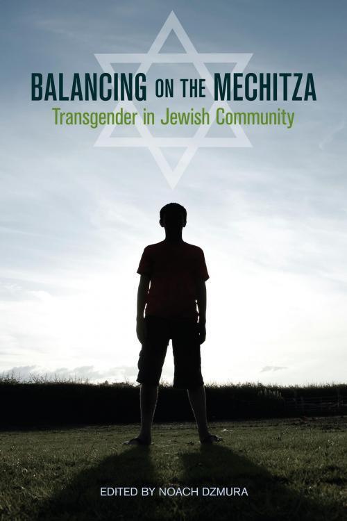 Cover of the book Balancing on the Mechitza by , North Atlantic Books