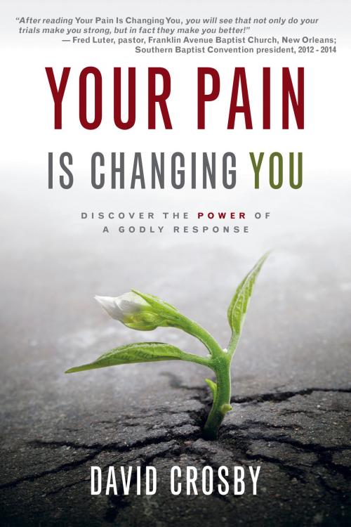Cover of the book Your Pain Is Changing You by David Crosby, New Hope Publishers