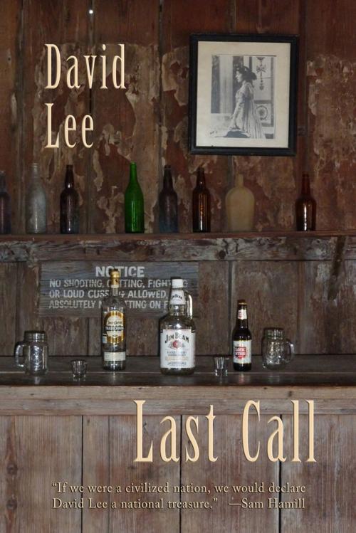 Cover of the book Last Call by David Lee, Wings Press