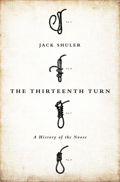 Cover of the book The Thirteenth Turn by Jack Shuler, PublicAffairs