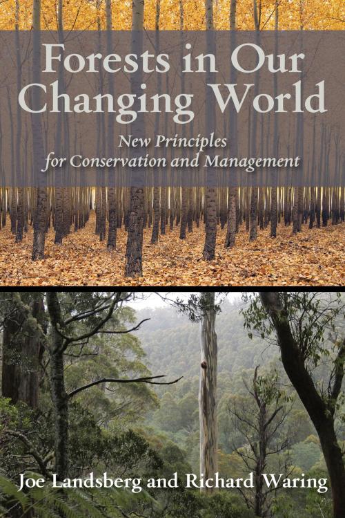 Cover of the book Forests in Our Changing World by Joe Landsberg, Richard Waring, Island Press