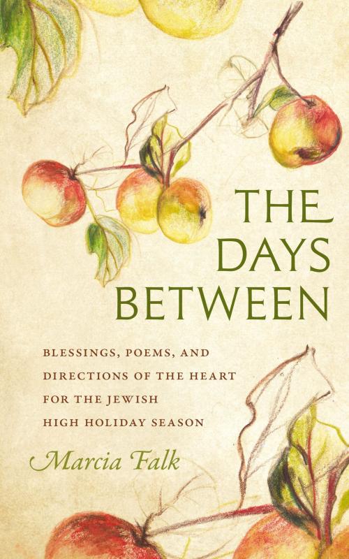 Cover of the book The Days Between by Marcia Falk, Brandeis University Press