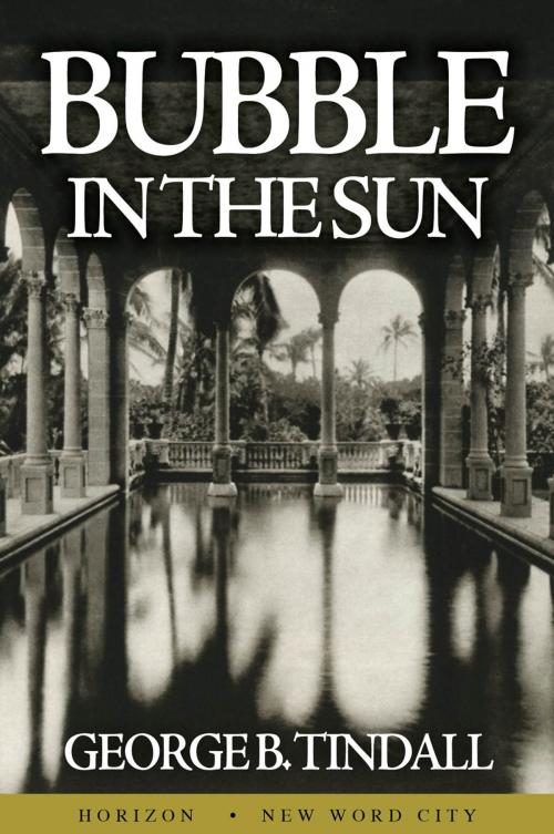 Cover of the book Bubble in the Sun by George B. Tindall, New Word City, Inc.