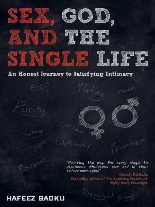 Cover of the book Sex, God, and the Single Life by Hafeez Baoku, CLC Publications