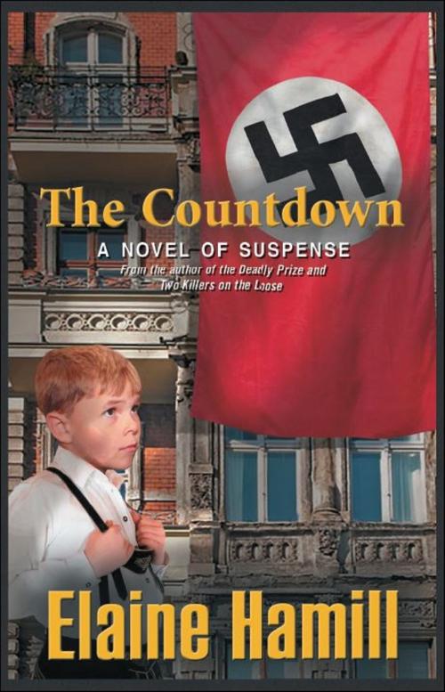Cover of the book The Countdown “A Novel of Suspense” by Elaine Hamill, Brighton Publishing LLC
