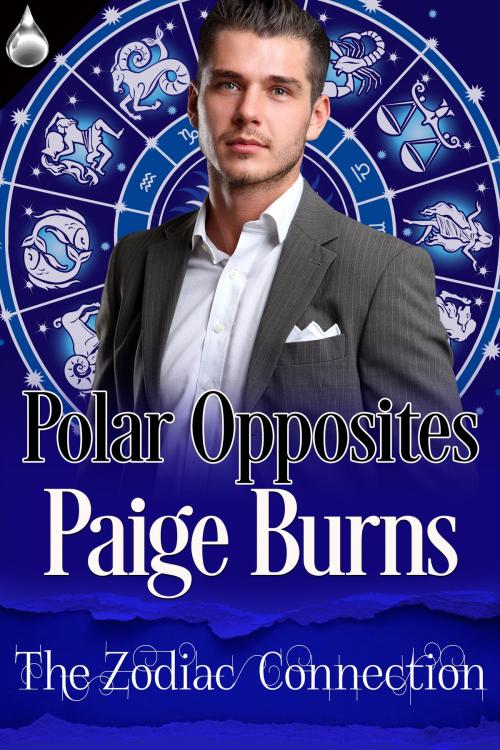Cover of the book Polar Opposites by Paige Burns, Liquid Silver Books
