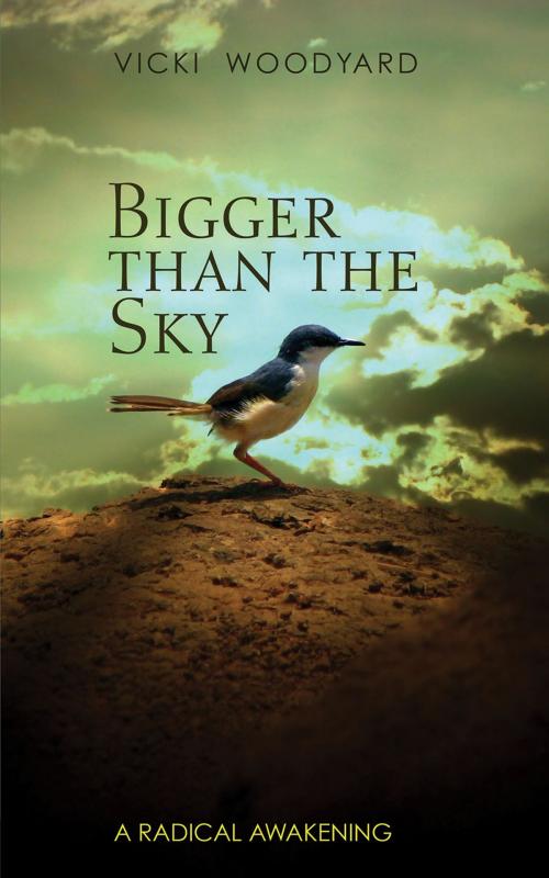 Cover of the book Bigger Than the Sky by Vicki Woodyard, New Harbinger Publications