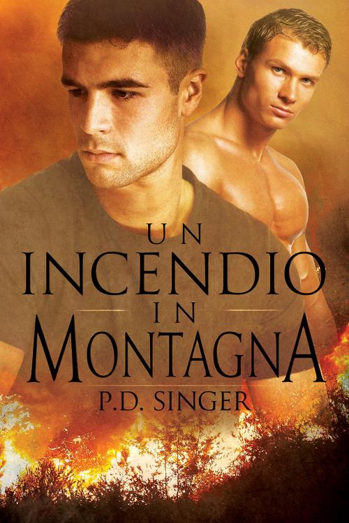 Cover of the book Un incendio in montagna by P.D. Singer, Dreamspinner Press